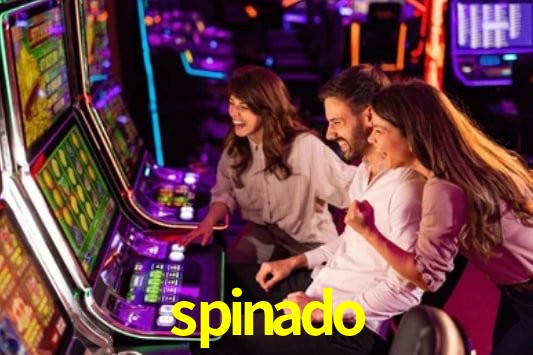 Interface Premium spinado